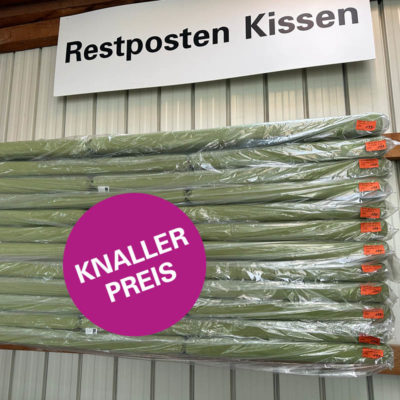 Liegenkissen Kiwi